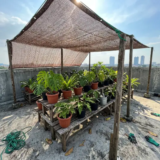 Paranet untuk nursery tanaman