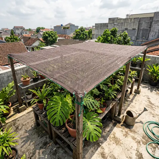 Paranet untuk kebun rooftop
